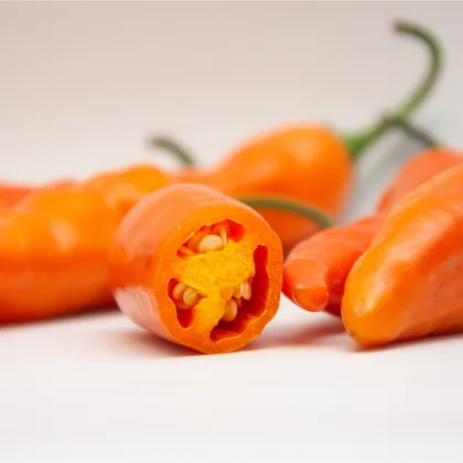 Chilli Aji Amarillo - Capsicum annuum - prodej semen - 7 ks