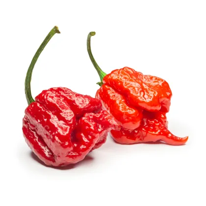 Chilli 7 Pot Primo - Capsicum chinense - prodej semen – 6 ks