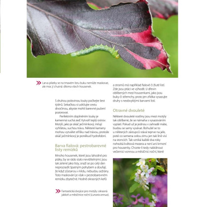 Moje motýlí zahrada - Grada - prodej knih - 1 ks