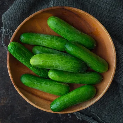 Okurka salátová Baby F1 - Cucumis sativus - prodej semen - 10 ks