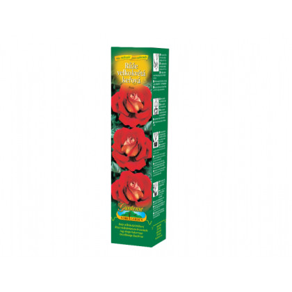 Růže velkokvětá červenožlutá - Rosa - prodej prostokořenných sazenic - 1 ks