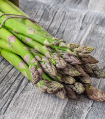 Chřest Gijnlim - Asparagus officinalis - prodej prostokořenných sazenic - 1 ks