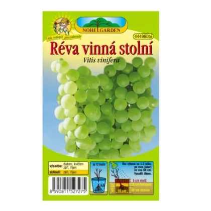 Réva vinná - Vitis vinifera - prodej prostokořenných sazenic - 1 ks