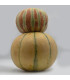 Meloun cukrový Kajari - Cucumis melo - prodej semen - 6 ks