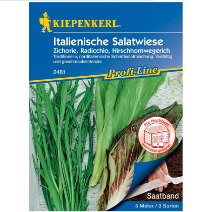Semena italských salátů - prodej výsevních pásků - 5 m