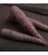 Semena mrkve Purple Sun F1 - prodej výsevních pásků - 5 m