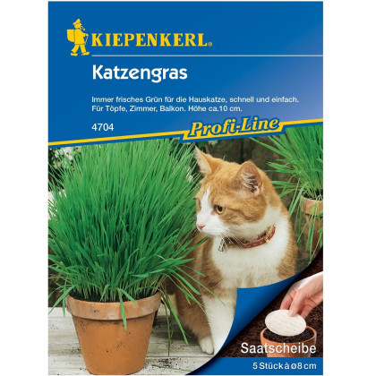 Semena kočičí trávy - prodej výsevních disků - 5 m