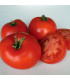 BIO Rajče Legend PhR - Solanum lycopersicum - prodej bio semen - 7 ks