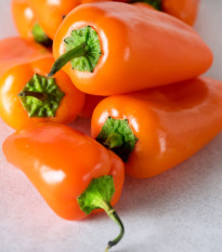 Paprika Snacking Orange - Capsicum annuum - prodej semen - 5 ks