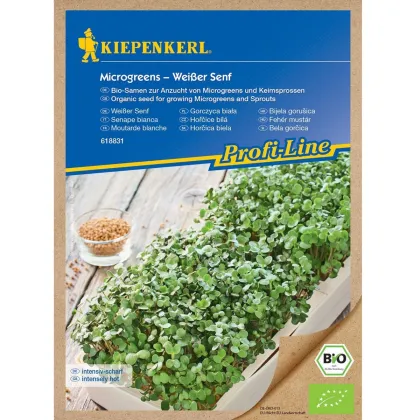 BIO Bílá hořčice - microgreens - prodej semen - 50 g