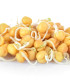 BIO Cizrna beranní - prodej bio semen na klíčení - 200 g