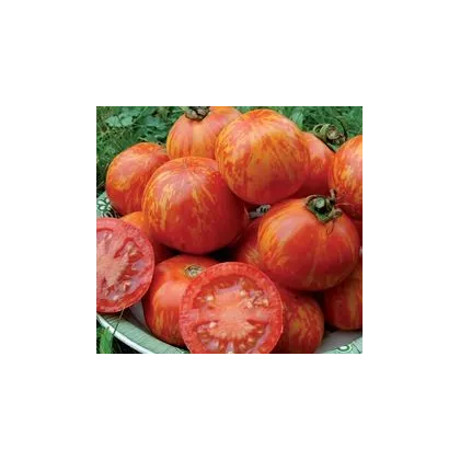 Rajče Červená zebra - Solanum lycopersicum - prodej semen - 6 ks