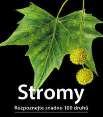 Stromy - Rozpoznejte snadno 100 druhů - Kazda - prodej knih - 1 ks