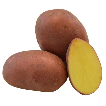 Sadbové brambory Red Anna - Solanum tuberosum - červené polorané - 5 kg