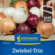 Semena cibule trio Hylander, Romy a Honeymoon - prodej výsevních pásků - 1 ks