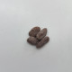 Indiánský banán Paw Paw – Asimina triloba – prodej semen