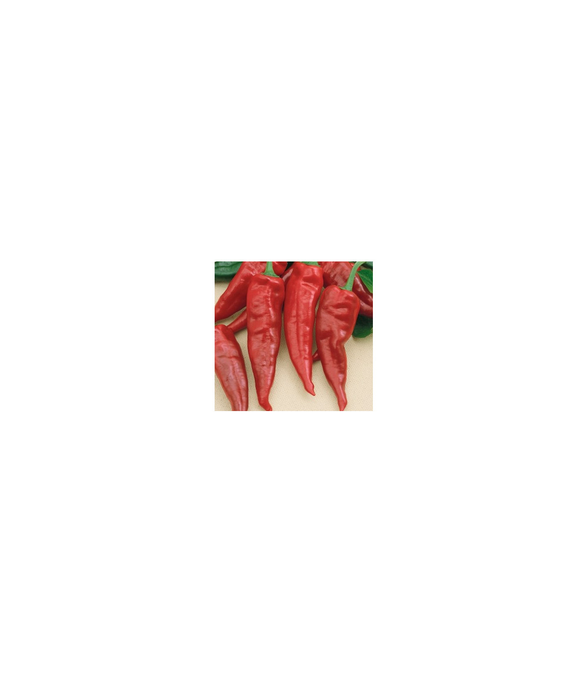 Semínka papriky - Capsicum annuum - Paprika kořeninová Vulkan - prodej semen - 10 ks