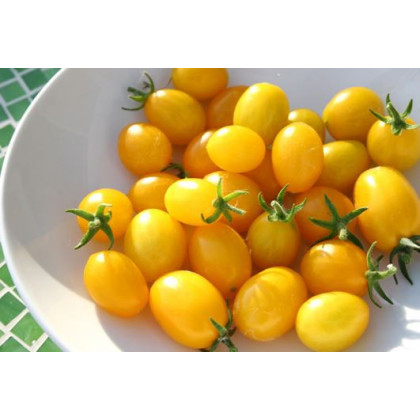 Rajče Ildi - Solanum lycopersicum - prodej semen - 0,1 g
