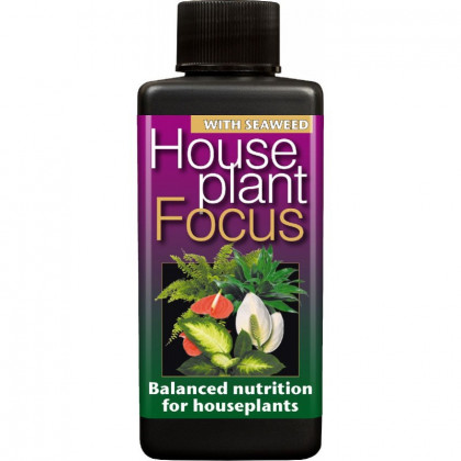 House Plant Focus - Hnojivo - 100 ml