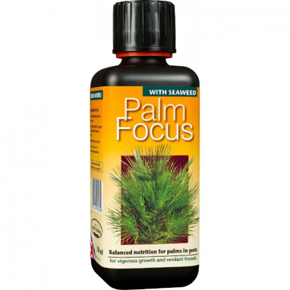 Palm focus - 100 ml