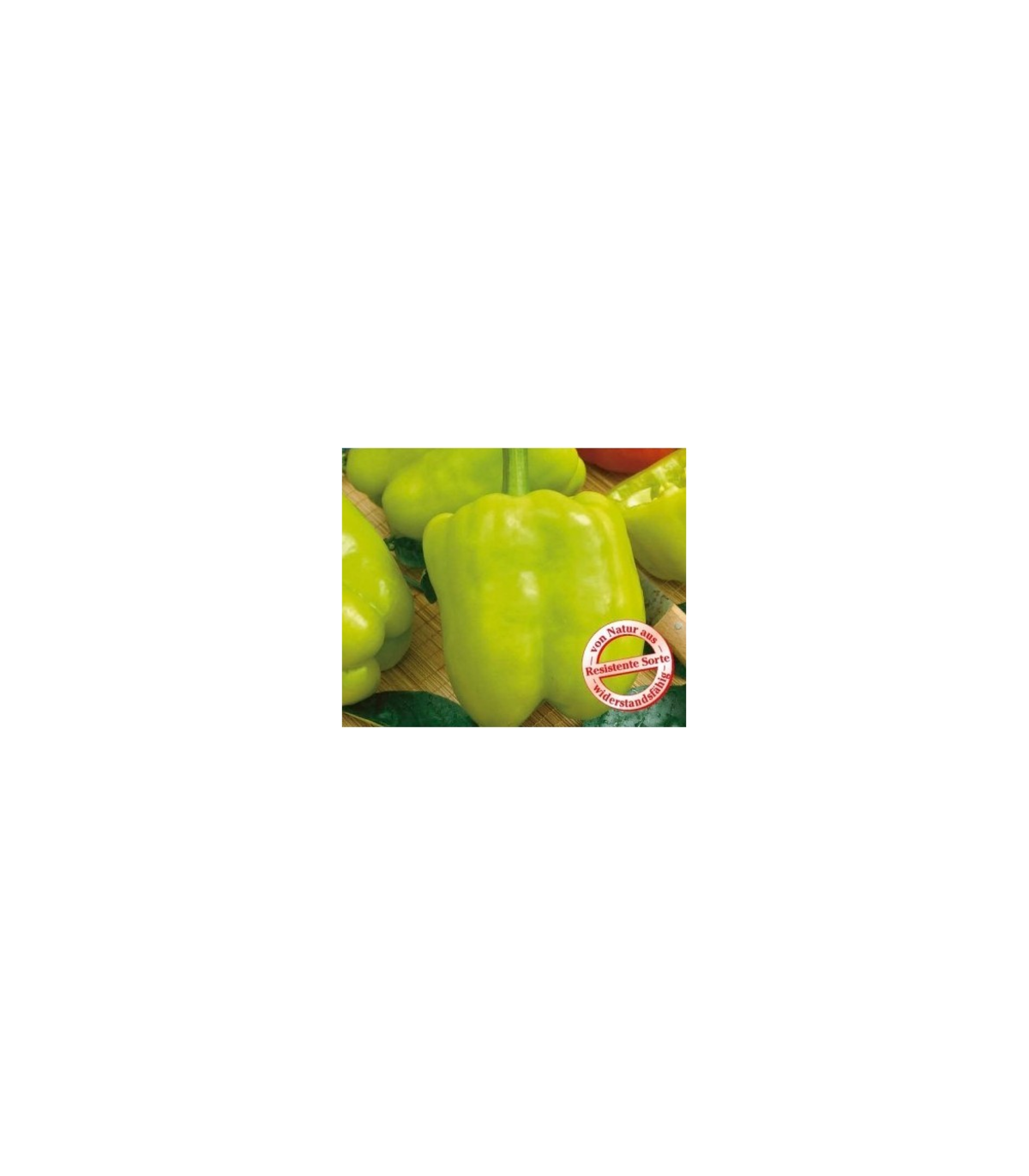 Semínka papriky - Capsicum annuum - Paprika Monte - prodej semen - 5 ks