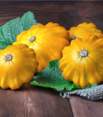 Patizon Golden Marbre - Cucurbita pepo - prodej semen - 5 ks