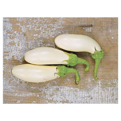 Lilek Casper - Solanum melongena - prodej semen - 7 ks