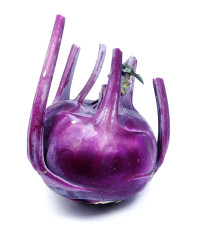 Kedluben raný modrý Purple vienna - Brassica oleracea - prodej semen - 100 ks