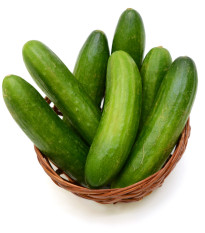 BIO Okurka salátová Sonja - Cucumis sativus - prodej bio semen - 5 ks