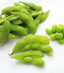 BIO Sója luštinatá Edamame - Glycina max - prodej bio semen - 25 ks