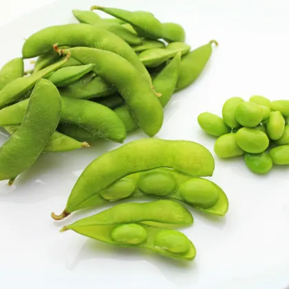 BIO Sója luštinatá Edamame - Glycina max - prodej bio semen - 25 ks