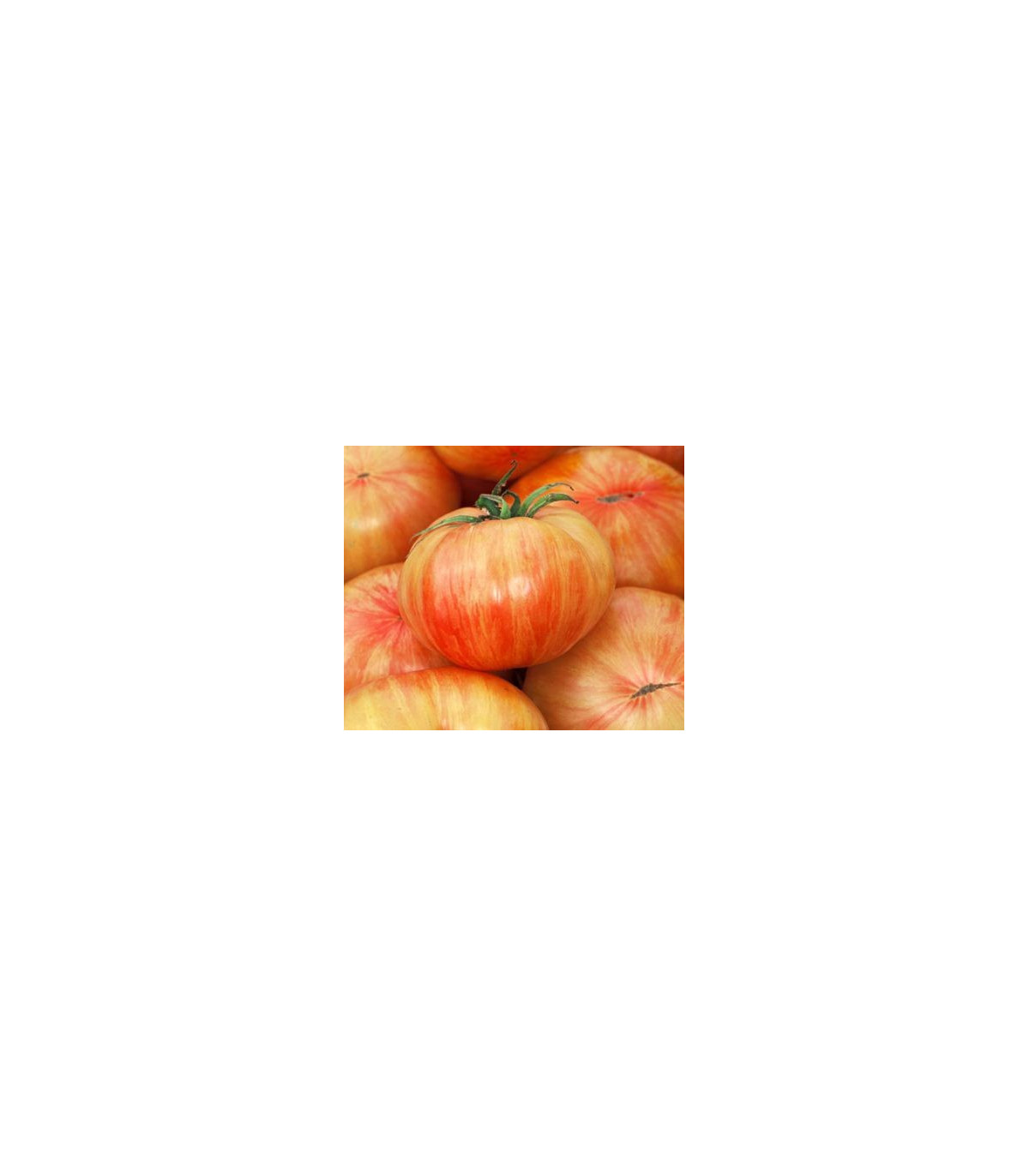 Rajče Copia- semena Rajčete- 7 ks