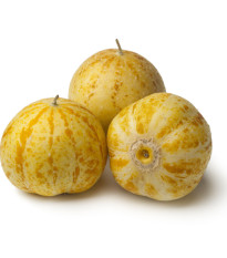 BIO Okurka Lemon - Cucumis sativus - prodej bio semen - 8 ks