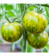 BIO Rajče Zelená zebra - Solanum lycopersicum - prodej bio semen - 6 ks