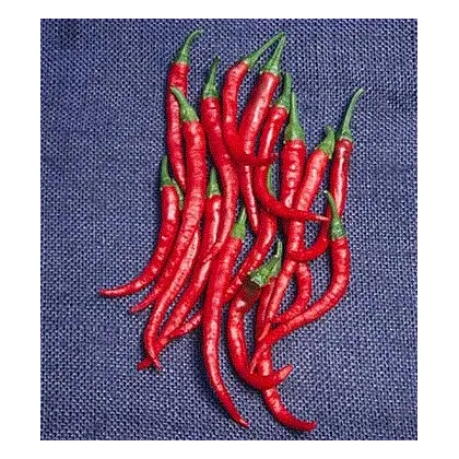 Kajenský pepř - Cayenne pepper - EXTRA dlouhý - 6 ks