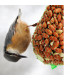 Závěsný balíček - Krmítko - prodej krmiva pro ptactvo - 4 ks