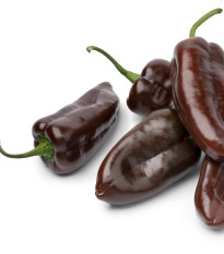 Paprika Sweet Chocolate - Capsicum annuum - prodej semen - 7 ks