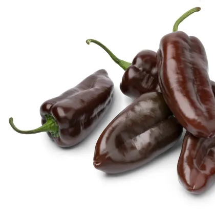 Paprika Sweet Chocolate - Capsicum annuum - prodej semen - 7 ks