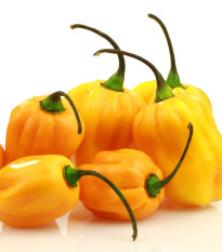 Chilli Big Sun Habanero - Capsicum chinense - prodej semen - 6 ks