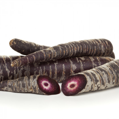 BIO Mrkev fialová Gniff - Daucus carota - prodej bio semen - 400 ks
