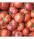 BIO Rajče Bührer-Keel - Solanum lycopersicum - prodej bio semen - 8 ks