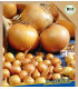 BIO Cibule sazečka Contado F1 - Allium cepa - prodej bio cibulek - 50 ks