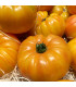 BIO Rajče Brandywine žluté - Solanum lycopersicum - prodej bio semen - 7 ks