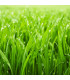 Chytrý trávník 3v1 - Easygarden - prodej semen a hnojiv - 0,5 x 10 m