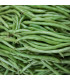 Fazole keříčková Negra - Phaseolus vulgaris - prodej semen - 10 ks