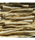 Petržel kořenová olomoucká - Petroselinum crispum - prodej semen - 700 ks