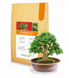 Mykorhiza pro bonsaje - Symbivit Bonsai - hnojivo - 150 g