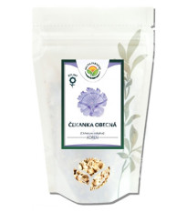 Čekanka obecná - Cichorium inthybus - kořen - 100 g