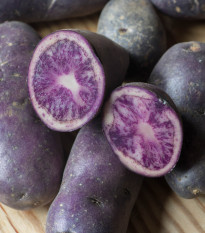 Brambory sadbové Blaue St. Galler - Solanum tuberosum - Kiepenkerl - prodej sadby - 5 ks