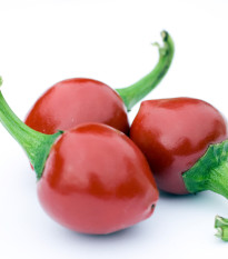 Paprika Red Cherry - Capsicum annuum - prodej semen - 7 ks